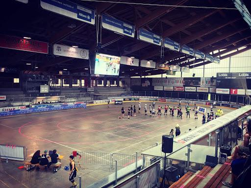 Image of the venue (Arena Ritten)